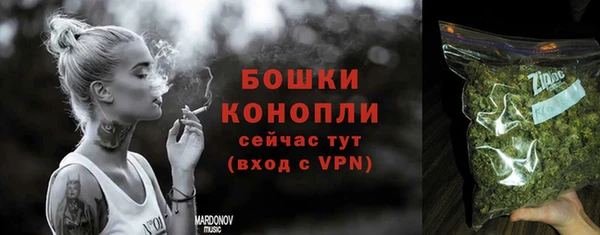 гидра Нязепетровск
