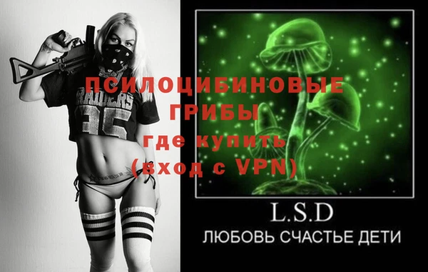 спайс Нягань