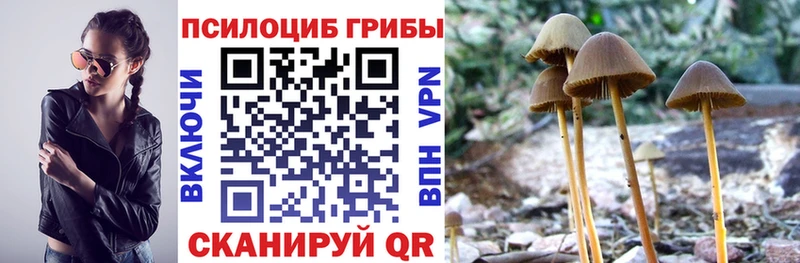 Псилоцибиновые грибы мухоморы  что такое   Печоры 